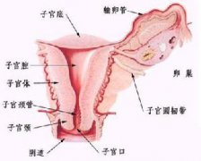 成都棕南妇科医院